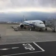 nanbu89の画像