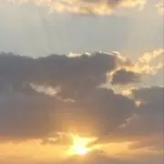 ミッキーの画像
