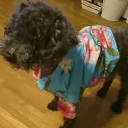 アリス♪