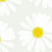 たこきむちの画像
