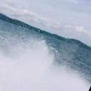 ののの画像