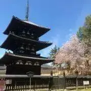 すとろまの画像