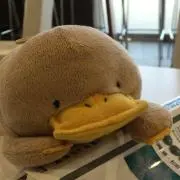 とん