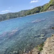 meteorの画像