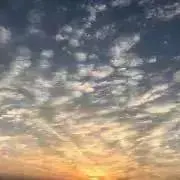 さらの画像