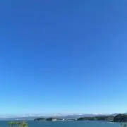 おーちゃんの画像