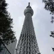 たてちゃんの画像