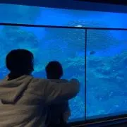 チャンカパーナの画像