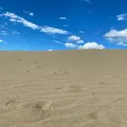ミツ