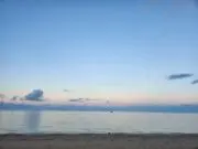 ri-coの画像