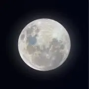 ₍ᐢ.ˬ.ᐢ₎の画像
