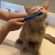 mの画像