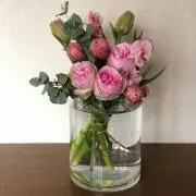 なつこの画像