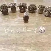 m-e-gの画像