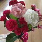 ☆てんてん☆