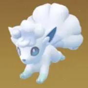 ロコン