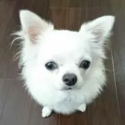 らぶの画像