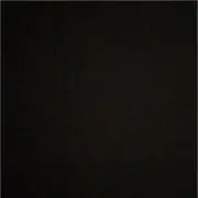 カカオの画像