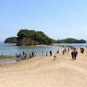 夏の画像
