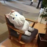 じっくりことこと