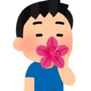 低さ安全花子の画像