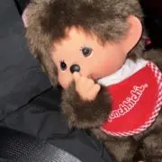 ポッキー