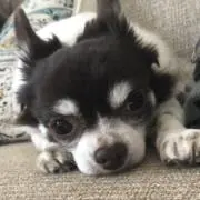 hekeの画像