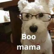 BooMaMaの画像