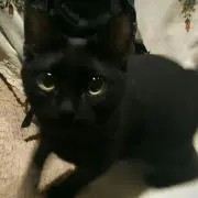 まあ※即購入歓迎※の画像