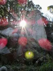 kanamaitomo