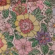 せとの画像