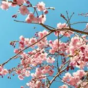 藻藻《購入検討時プロフ要確認》の画像