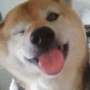 ふうちゃんの画像