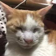 りょう