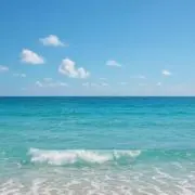 cameの画像