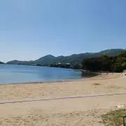 ワンワンの画像