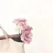 pinknoringoの画像