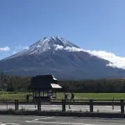 toshiの画像