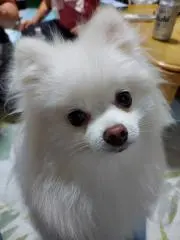 めぐちゃん