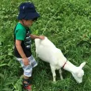 もっち