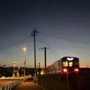 まもも