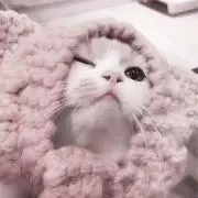 H プロフ必読の画像