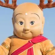 せんと君　プロフィール必見の画像