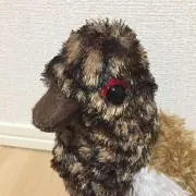 ふるの画像