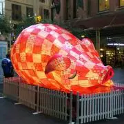 りあの画像