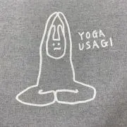 うめぼしの画像