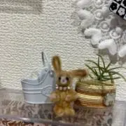 Nicoli⭐️の画像