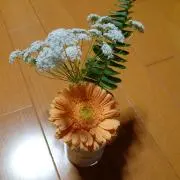 reon0404の画像
