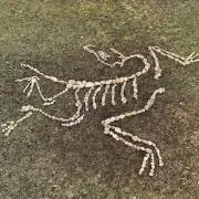 .の画像