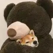 むいの画像